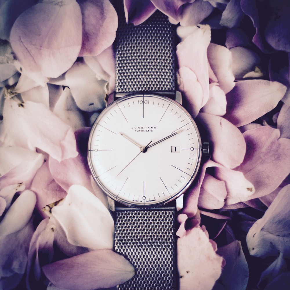 Max Bill Automatic auf einem Bett aus Rosen /// Bild: Wolfgang Wieser